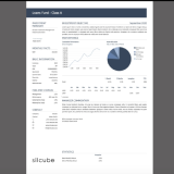 Create reports